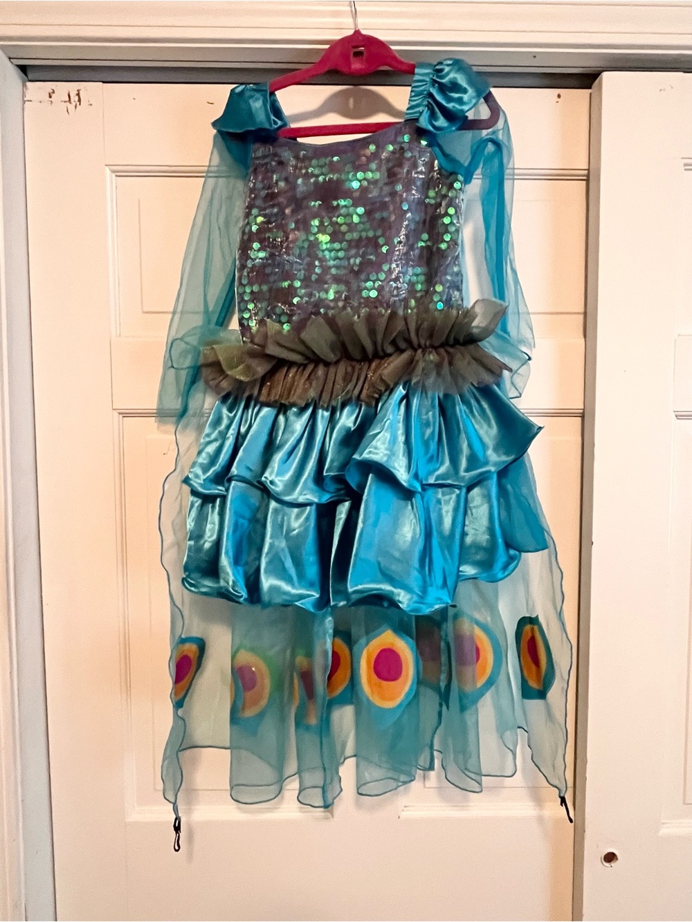 Peacock Kids Costume